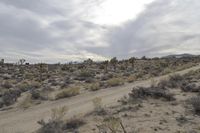 California Desert Landscape: A Road Trip Adventure