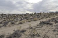 California Desert Landscape: A Road Trip Adventure