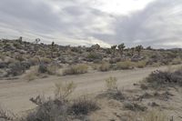 California Desert Landscape: A Road Trip Adventure