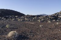 a rocky field that is filled with rocks and plants near mountains in the distance with a blue sky above