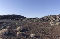 a rocky field that is filled with rocks and plants near mountains in the distance with a blue sky above