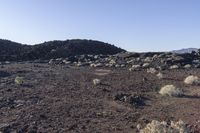 a rocky field that is filled with rocks and plants near mountains in the distance with a blue sky above