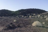 a rocky field that is filled with rocks and plants near mountains in the distance with a blue sky above