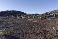 a rocky field that is filled with rocks and plants near mountains in the distance with a blue sky above