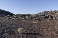 a rocky field that is filled with rocks and plants near mountains in the distance with a blue sky above