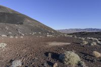 a dirt area with green weeds near a mountain top surrounded by rocks and shrubs with snow capped mountains