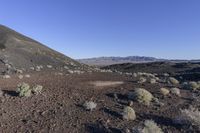 a dirt area with green weeds near a mountain top surrounded by rocks and shrubs with snow capped mountains