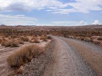 California Desert Off-Road Adventure