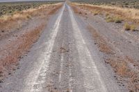 a large road with some dead weeds in the middle of the road on a desert plain