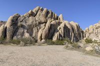 California Desert Road under Clear Sky - 004