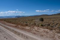 a dirt road passes through the desert with hills in the background and a blue sky