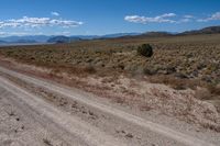 a dirt road passes through the desert with hills in the background and a blue sky