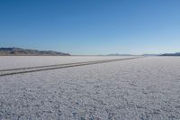 tracks of cars in the middle of a desert plain on a clear sunny day with no clouds