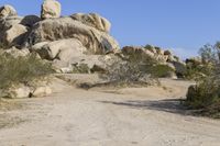 California Desert Road: Tracks under a Clear Sky
