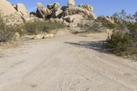 California Desert Road: Tracks under a Clear Sky