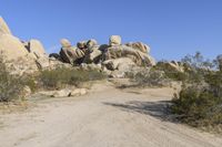 California Desert Road: Tracks under a Clear Sky