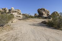 California Desert Road: Tracks under a Clear Sky