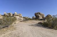 California Desert Road: Tracks under a Clear Sky