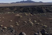 large and small rocks in the middle of the desert landscape with large rocky mountains in the background