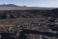 large and small rocks in the middle of the desert landscape with large rocky mountains in the background