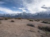 California's Desert Scenery: Alabama Hills
