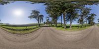 a full 360 - view of dirt road with trees in foreground, a grass field and the sun shining