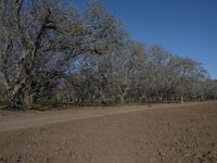 a man is riding on a motorcycle across a dirt field under trees and dirt road