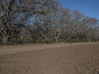 a man is riding on a motorcycle across a dirt field under trees and dirt road