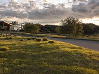 a dirt road that leads to a grassy area and a home with trees on it