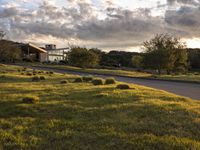 a dirt road that leads to a grassy area and a home with trees on it