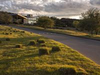 a dirt road that leads to a grassy area and a home with trees on it