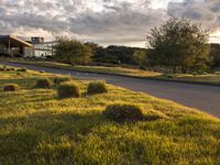 a dirt road that leads to a grassy area and a home with trees on it