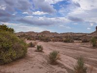 California's Dry Riverbed: Surrounded by Vegetation and Gravel