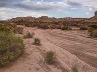 California's Dry Riverbed: Surrounded by Vegetation and Gravel