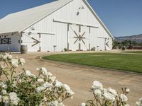 a white barn in a large field surrounded by flowers and greenery at the end of a driveway