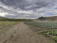 California Farmland under a Gloomy Grey Sky