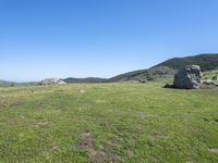 a cow standing in the middle of a green field with rocks in the background and blue sky