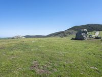 a cow standing in the middle of a green field with rocks in the background and blue sky