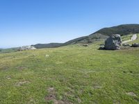 a cow standing in the middle of a green field with rocks in the background and blue sky