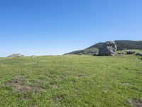 a cow standing in the middle of a green field with rocks in the background and blue sky