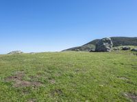 a cow standing in the middle of a green field with rocks in the background and blue sky