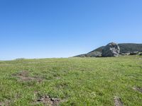 a cow standing in the middle of a green field with rocks in the background and blue sky