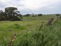 a barbed wire fence stretches across an expansive green pasture area with trees, scrub, and cows