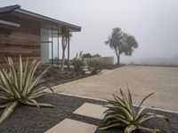 plants in pots are next to a house with a nice wall, and fog rolling in