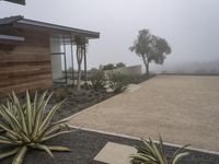 plants in pots are next to a house with a nice wall, and fog rolling in