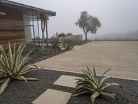 plants in pots are next to a house with a nice wall, and fog rolling in