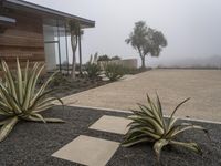 plants in pots are next to a house with a nice wall, and fog rolling in