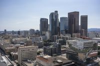 California High Rise Cityscape View 001