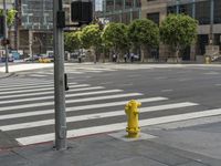 a yellow fire hydrant sitting on the side of a street near a crosswalk