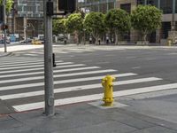 a yellow fire hydrant sitting on the side of a street near a crosswalk